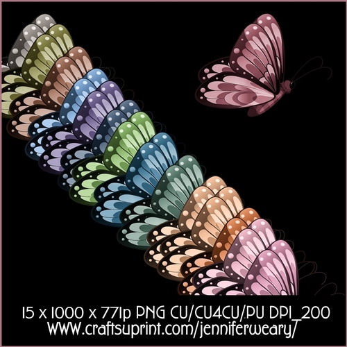 20 Unique Butterflies 