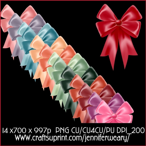20 Succulants Bright Bows