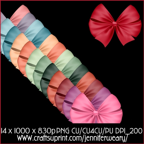 Succulants Bright Bows 5