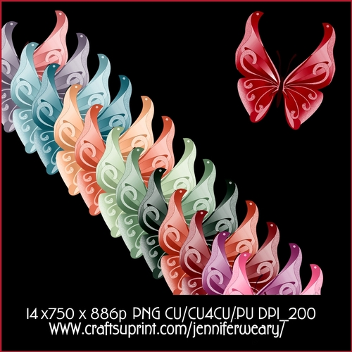 Succulants Bright Butterflies 2