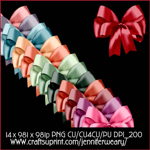2 Succulants Bright Bows 2