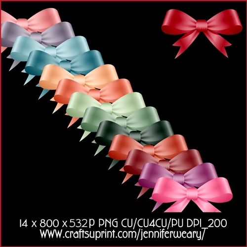 Succulants Bright Bows 6