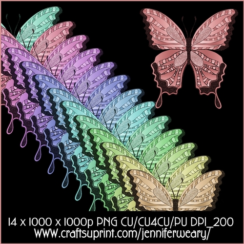 Noisy Butterflies-Candy Floss b