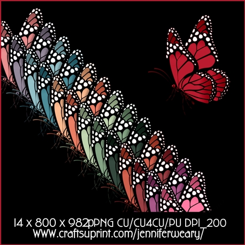 20 Succulants Bright Butterflies 2