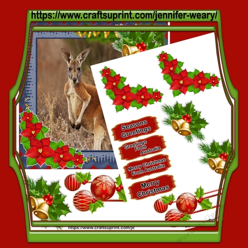 Australian Animals-Kangaroo
