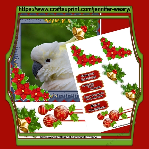 Australian Animals-Sulphur Crested Cockatoo