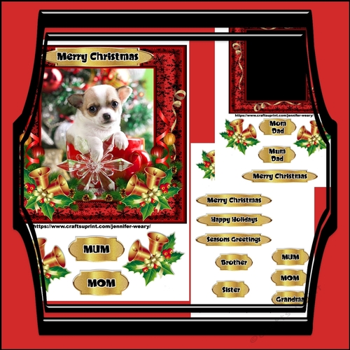 Merry Christmas puppy
