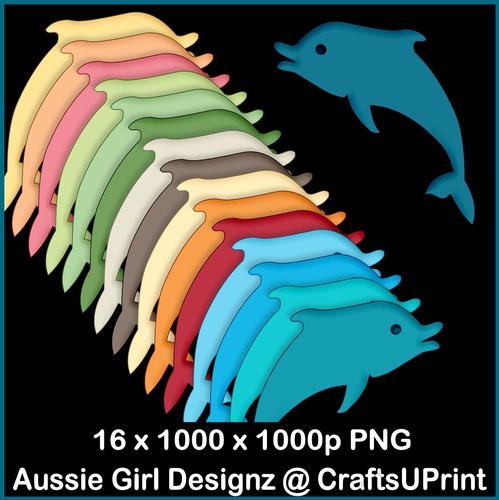 Lifes Beachy Dolphins