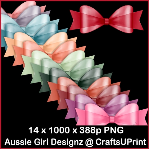 22 Succulant Bright Bows