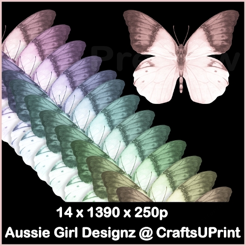 Pretty Butterflies-Candy Floss