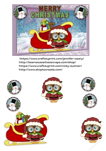 Santa Owl with sled