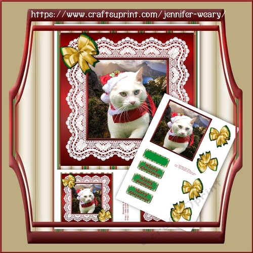 Christmas in lace snow boy