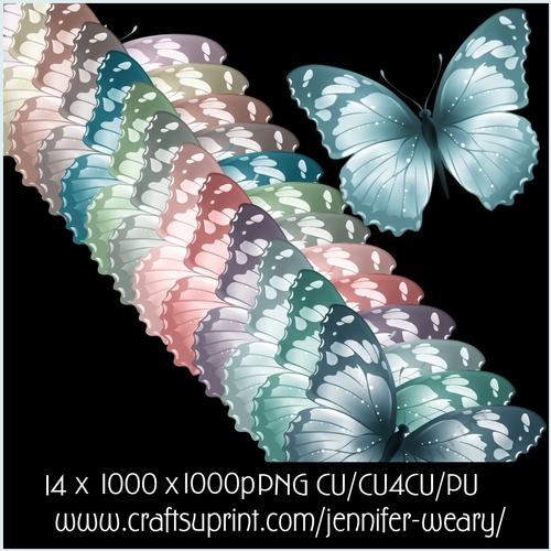 Succulant Butterflies