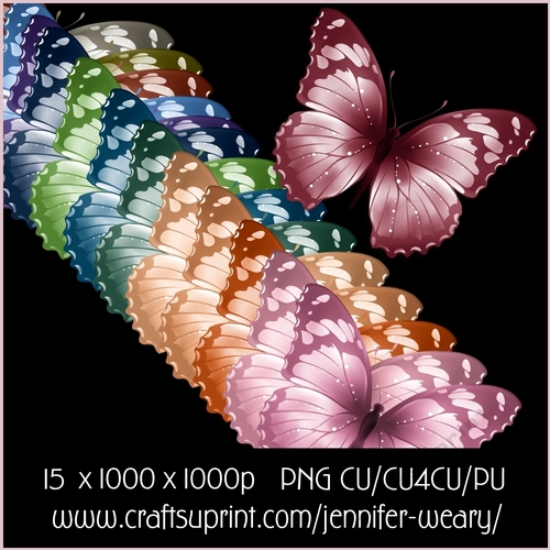 Unique Butterflies 2