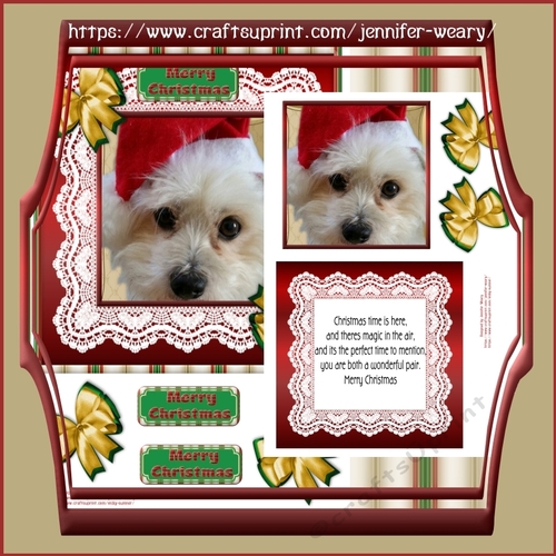 Christmas in Lace Arlie