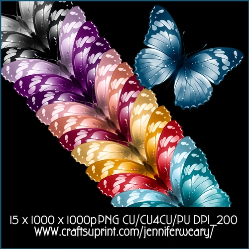 Gorgous Butterflies 