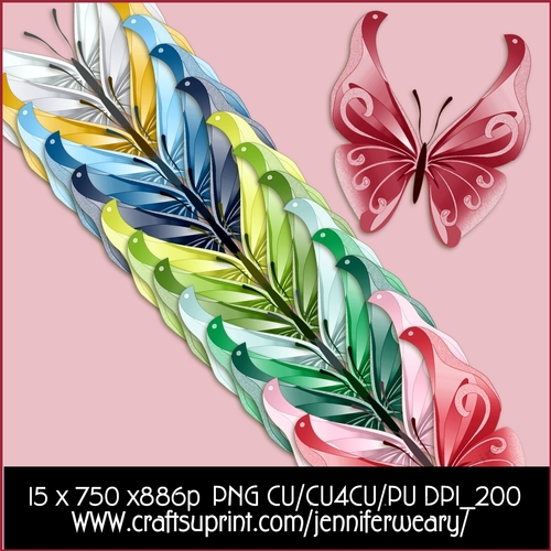 Pioneer Butterflies 7