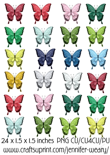 Pioneer Butterflies