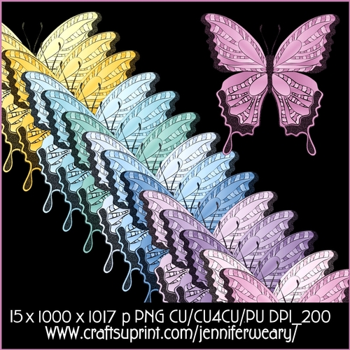 Noisy Butterflies-Romantic