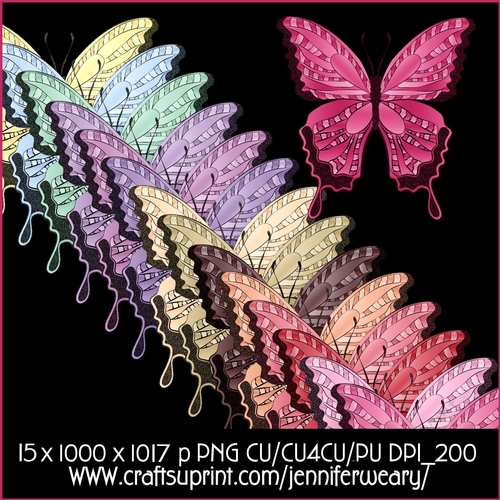 Noisy Butterflies-Sweet