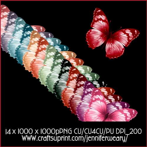 Succulants Bright Butterflies 