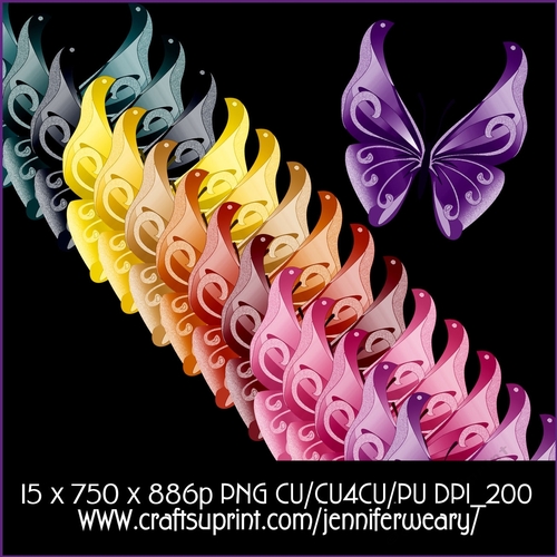 Exotic Butterflies
