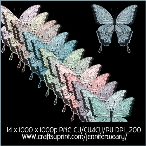 Noisy Butterflies Succulants