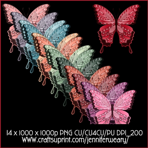 Noisy Butterflies Succulants Bright