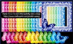 Lace Butterfly Frames Colorful