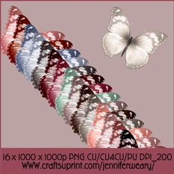 Dusty Butterflies 2