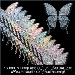 Noisy Butterflies-Neutral