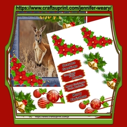 Australian Animals-Kangaroo