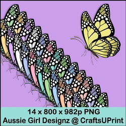 Spring Light Butterflies 3