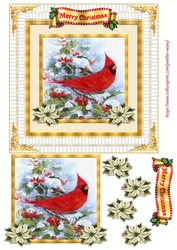 Pretty Red Bird