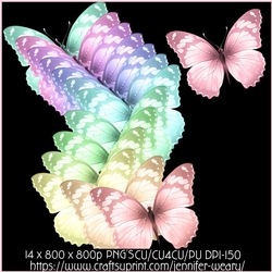 Candy Floss b Butterflies