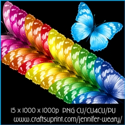 Colorful Butterflies