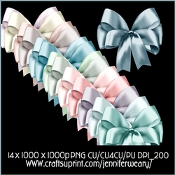 2 Succulant Bows