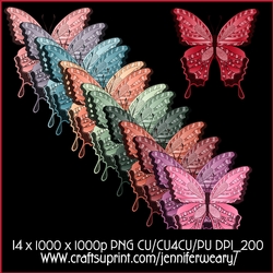 Noisy Butterflies Succulants Bright