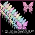 Noisy Butterflies-Dreamy