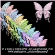 Noisy Butterflies-Easter Morn