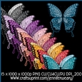 Noisy Butterflies-Gorgous