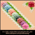 Corner Rose Set-Rose Succulants Bright