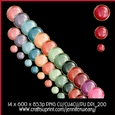 3 Pearls Gold Borders-succulants Bright