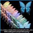 Noisy Butterflies-Tranquil Days
