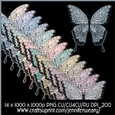 Noisy Butterflies-Neutral
