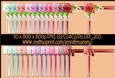 Rose Plain Corners -Valentine