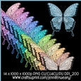 Noisy Butterflies-Cute
