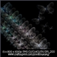 Transparent Butterflies-Classic