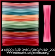 Ribbon Wraps-Succulants Bright