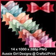 22 Succulant Bright Bows